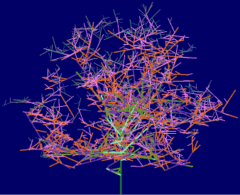 Tree!